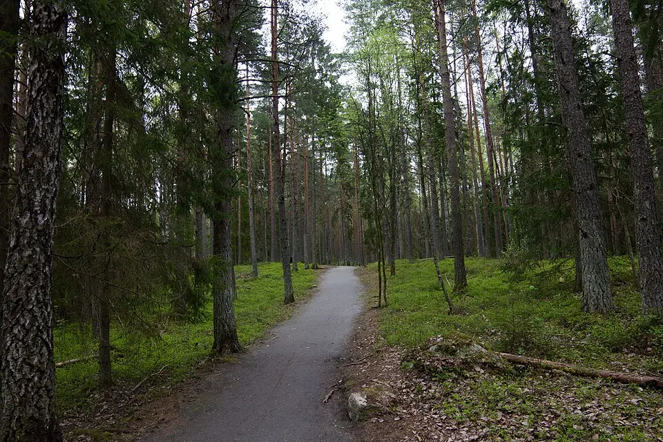 Varbergaskogen