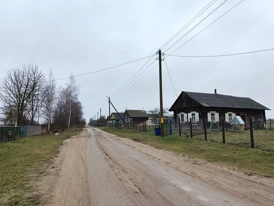 Варонічы