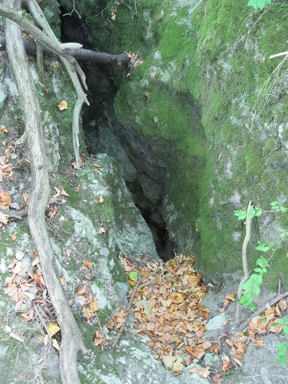 Vasas-szakadéki No 2–3. Cave