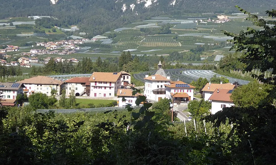 Vasio