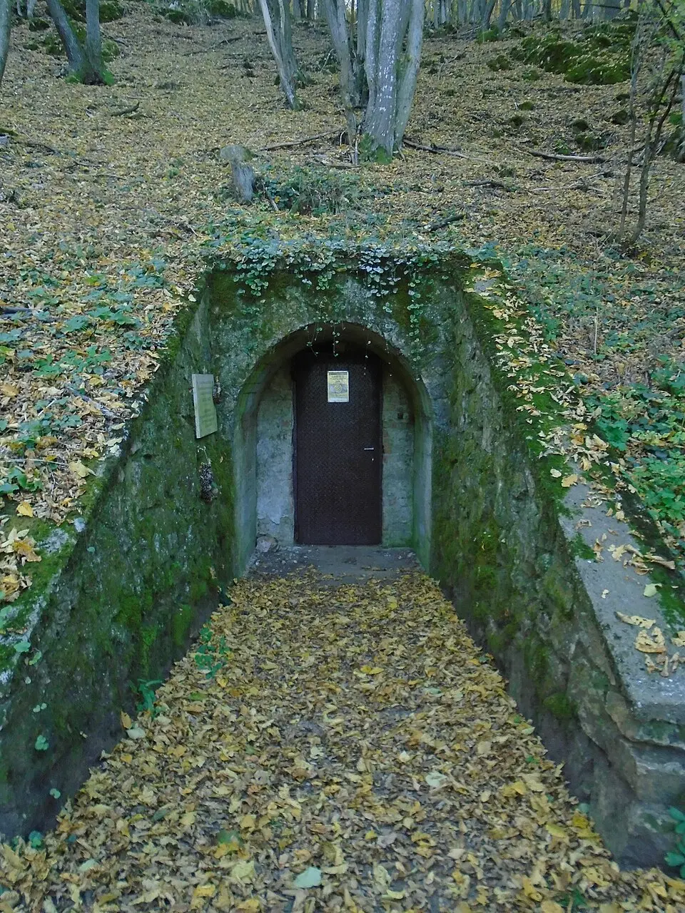 Vass Imre-barlang