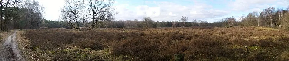 Terrein waarin 5 grafheuvels