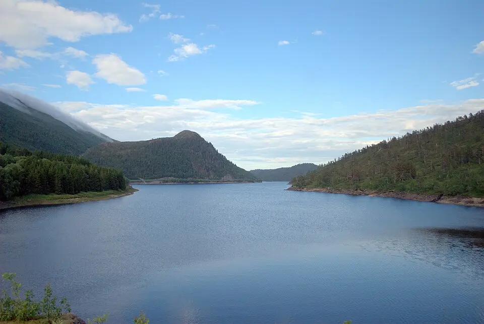 Vasslivatnet