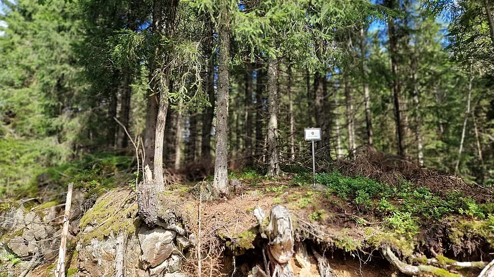 Vassmyråsen naturreservat