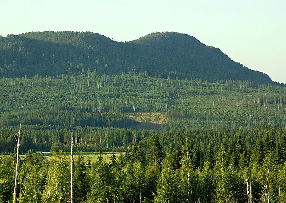 Bjurholms kommun
