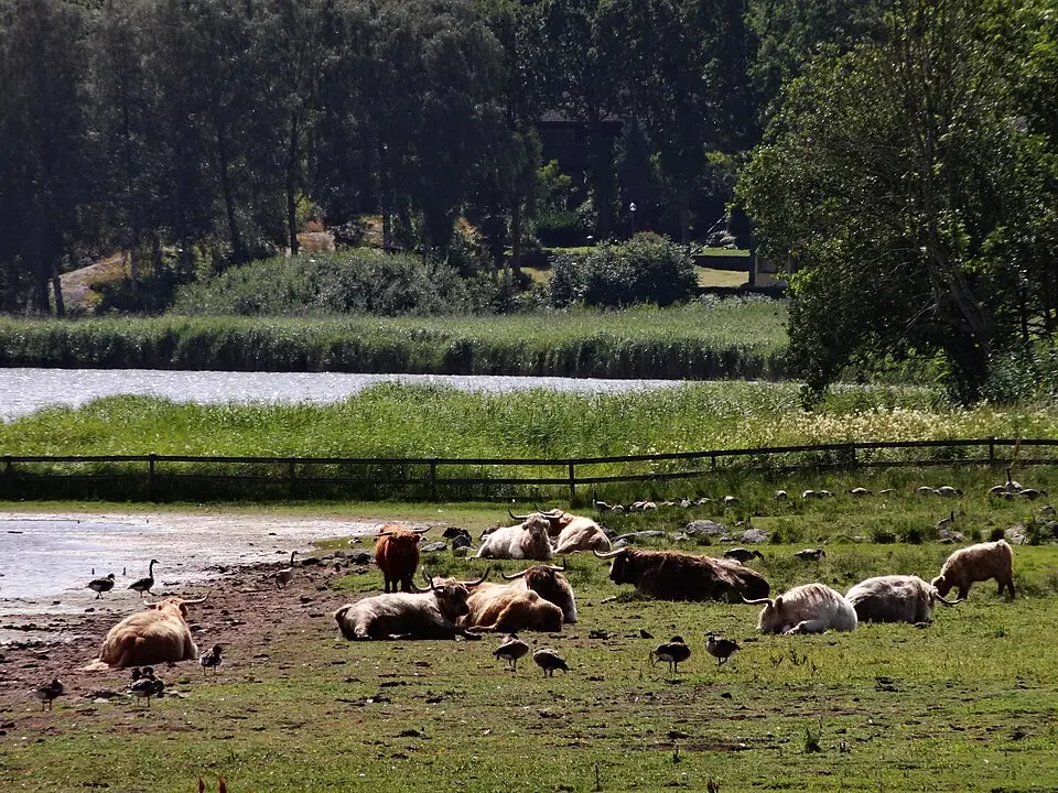Välens naturreservat