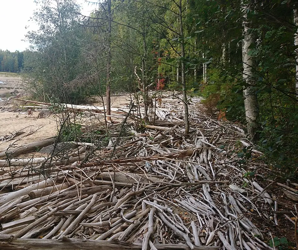 Vännforsen