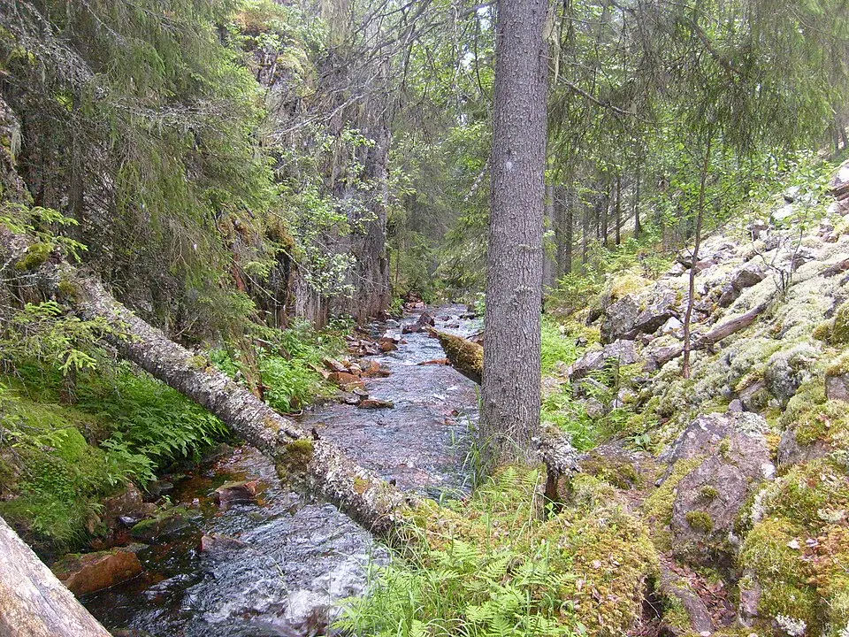 Södra Trollegrav