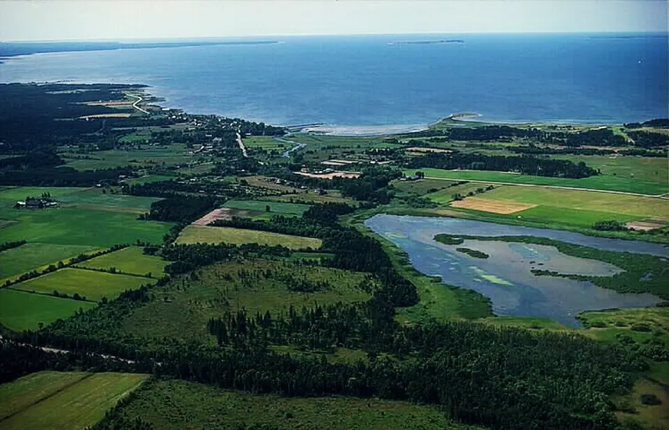 Paviken