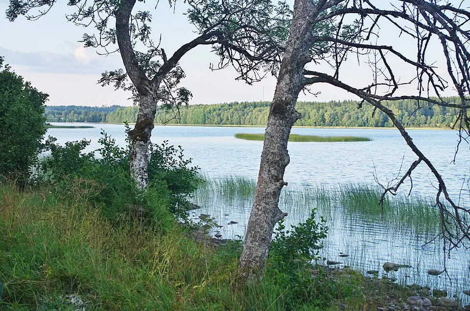 Årås