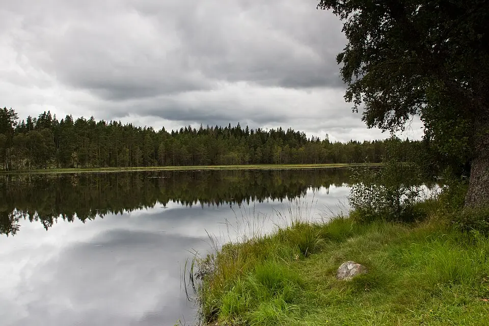 Våraskruv