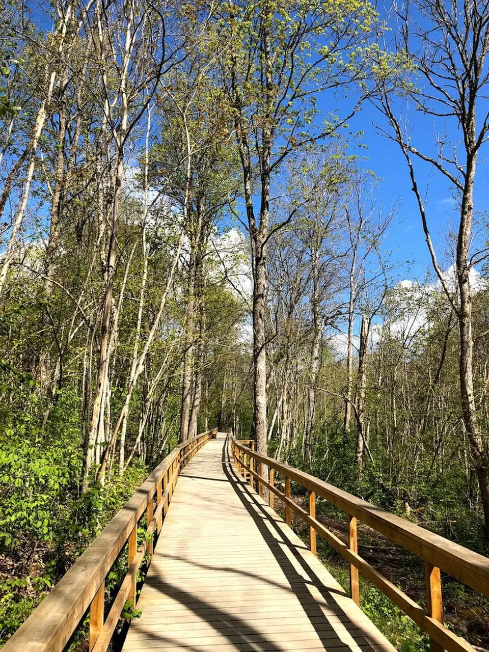Vårdsätra naturpark