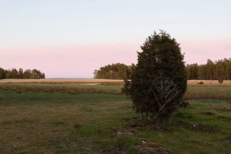 Horsö-Värsnäs