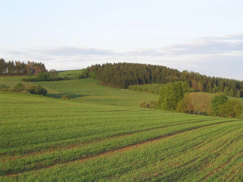 Völzberger Köpfchen