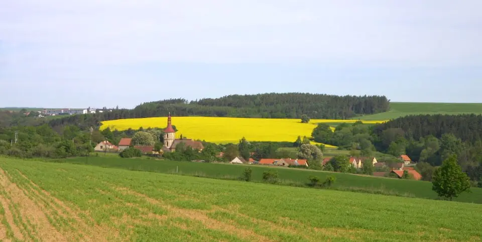 Všehrdy