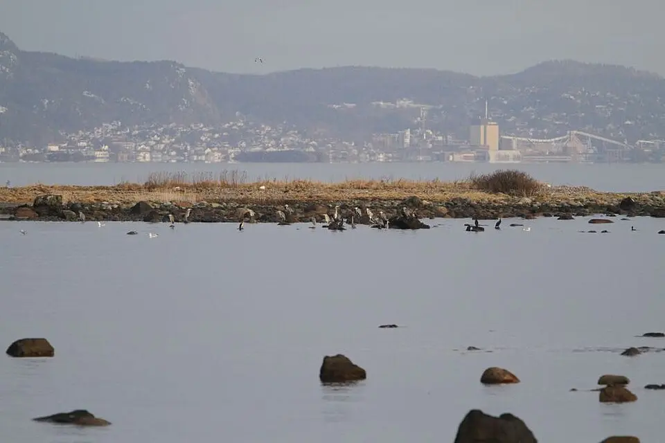 Réserve naturelle de Vealøs