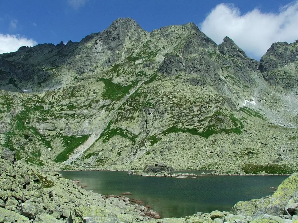 Volia veža
