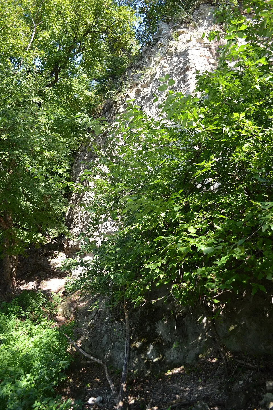 Hrad Blh