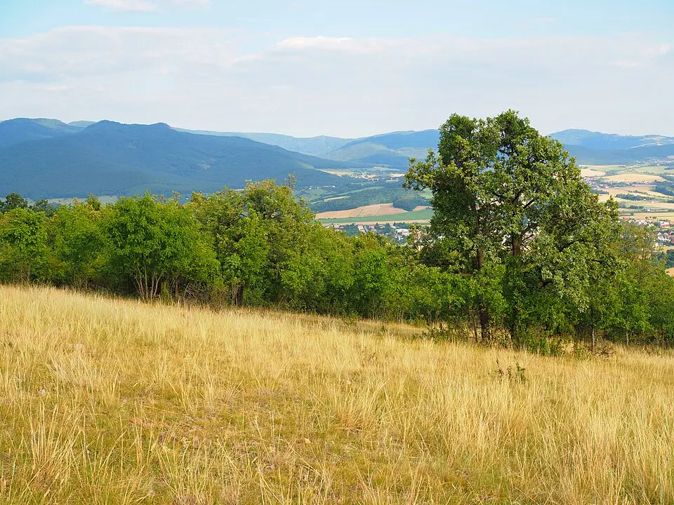 Kép: Tomáš Merta · CC BY-SA 4.0 Veľký vrch