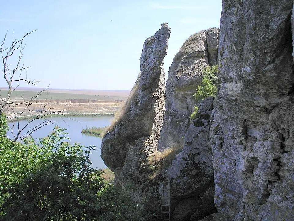 Grădina