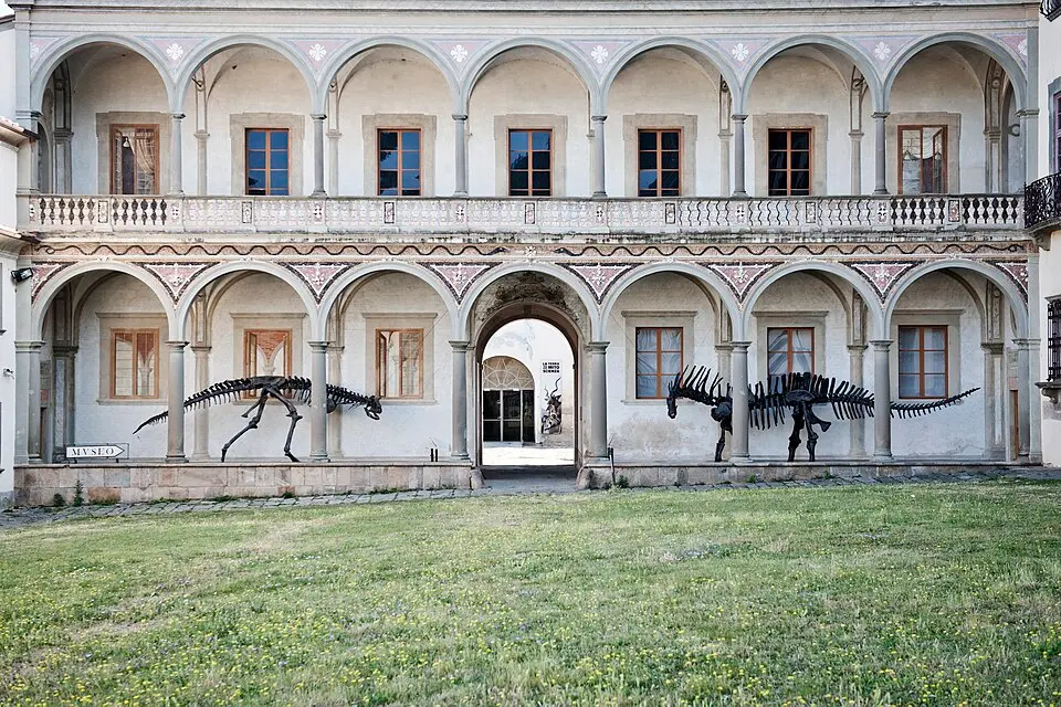 Museo di storia naturale dell'Università di Pisa