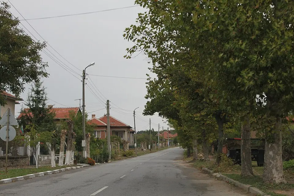 Българин
