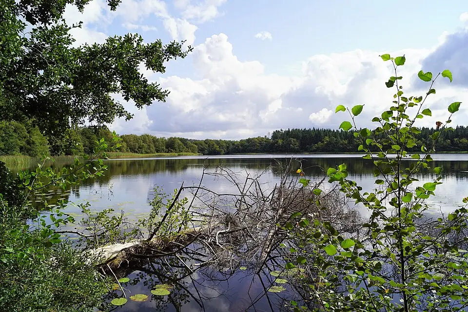 Vejlsø