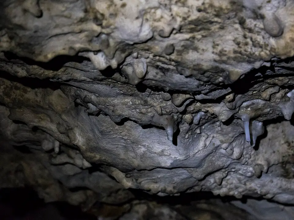 Veledahöhle