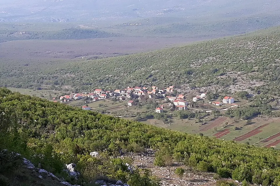 Velić
