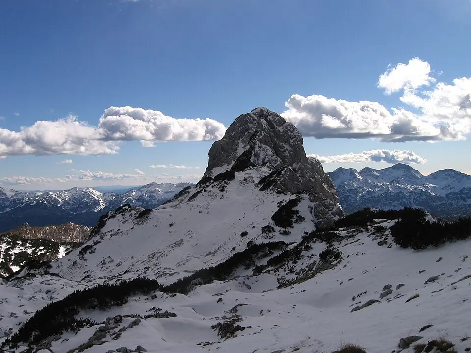 Tičarica