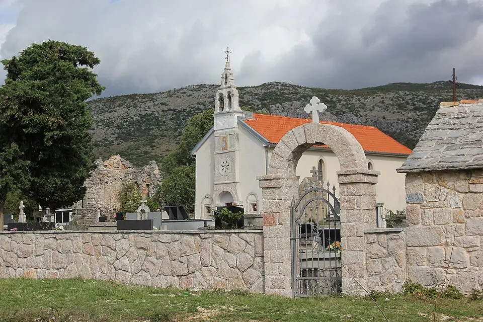 Baljci