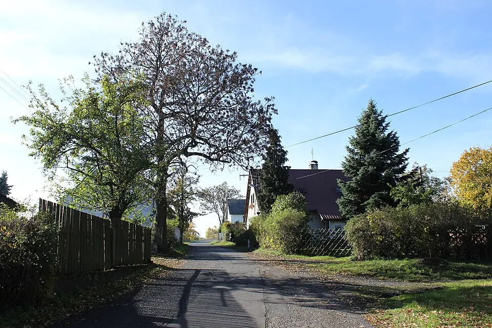 Velký Hlavákov