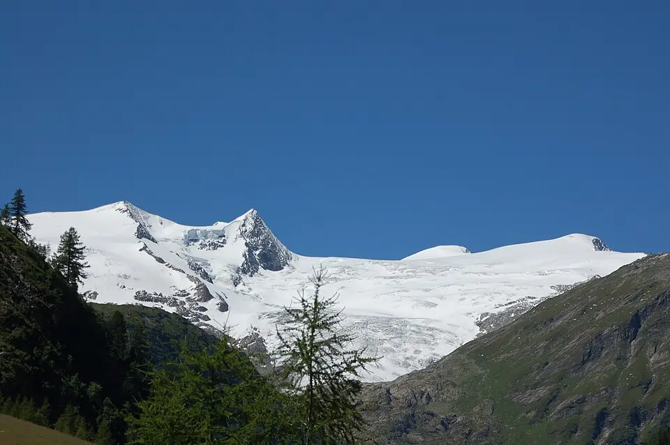 Kleinvenediger