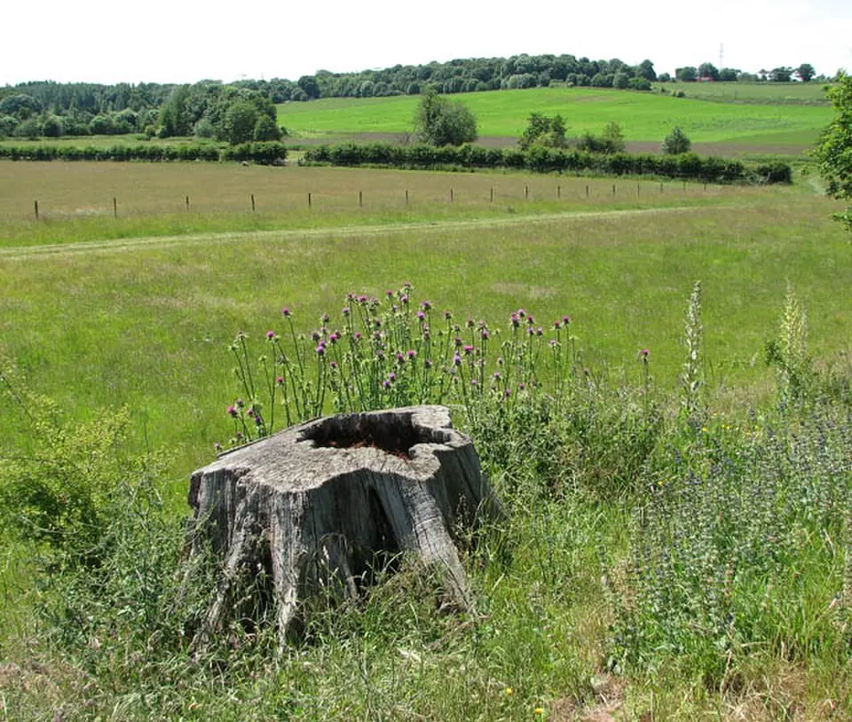 Venta Icenorum: Roman town and associated prehistoric and medieval remains