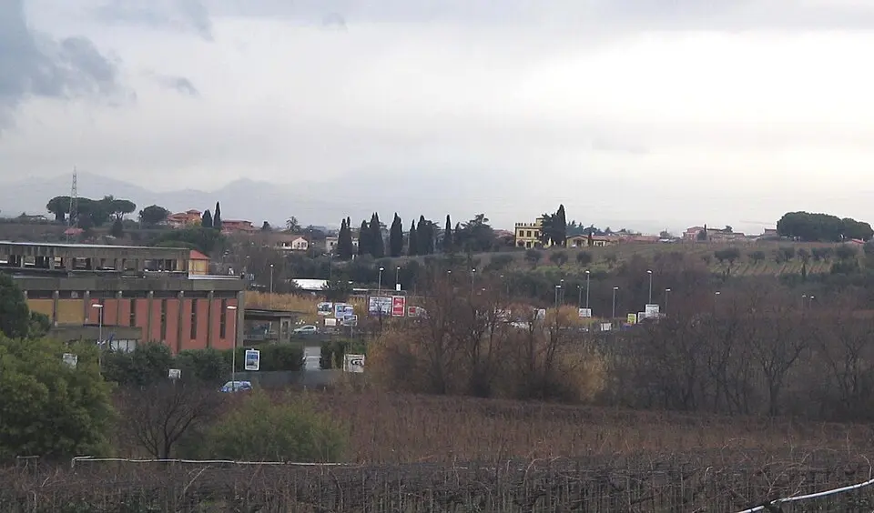 Selvotta