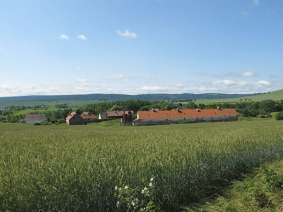 Vesce