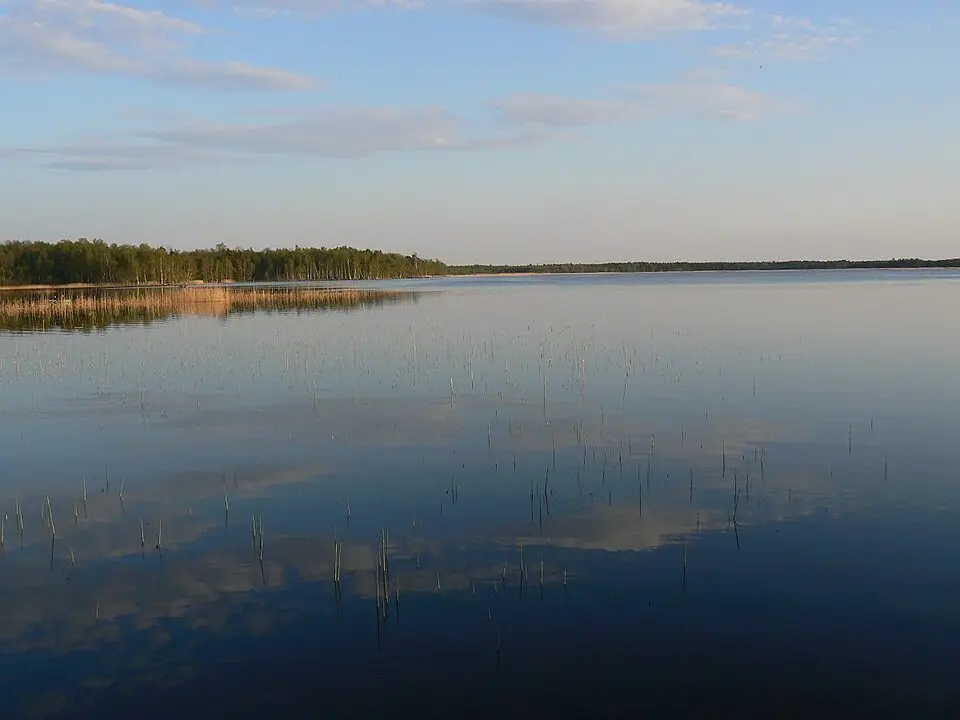 Veskijärv