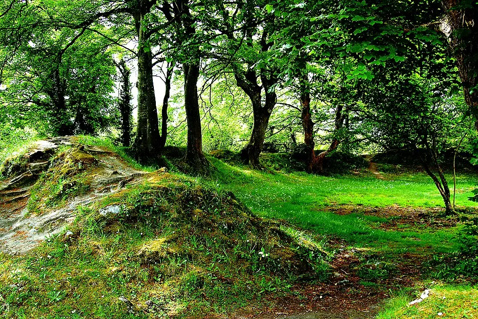 Ballyallaban ringfort