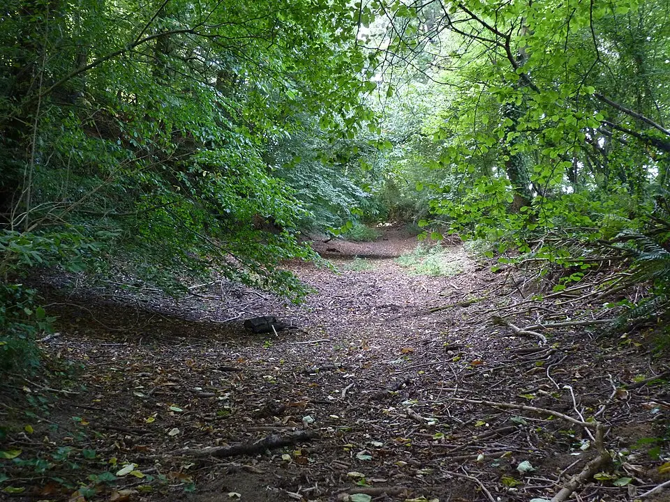 vestiges du camp antique du Castel Dû