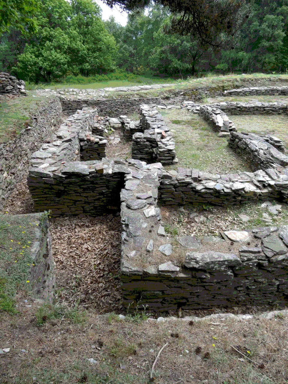 villa gallo-romaine de Saint-Martin-de-Lansuscle