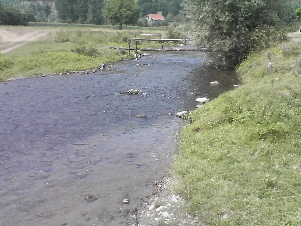 Veternica