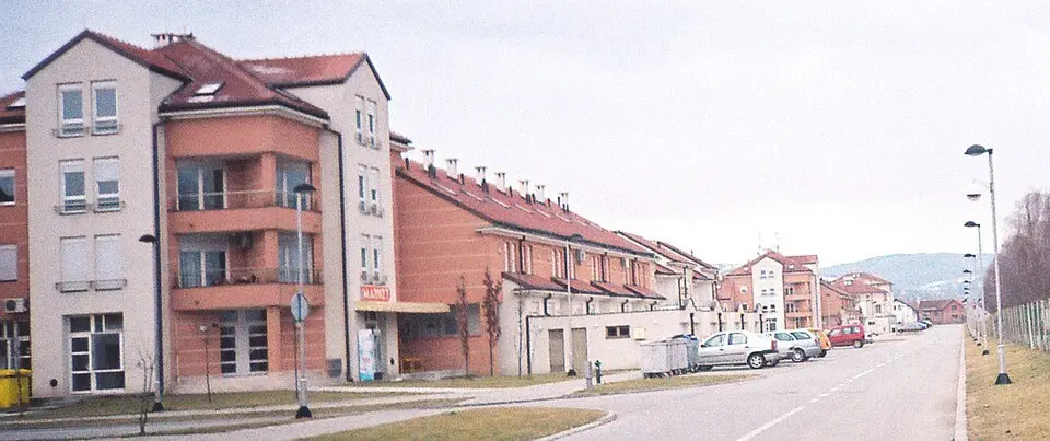 Veternik