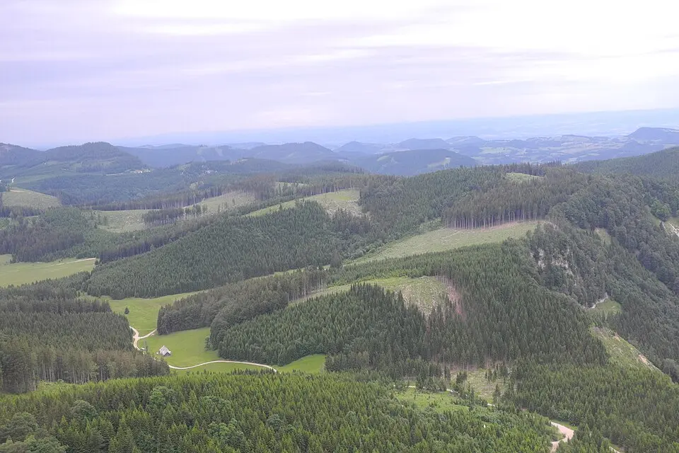 Futterkogel
