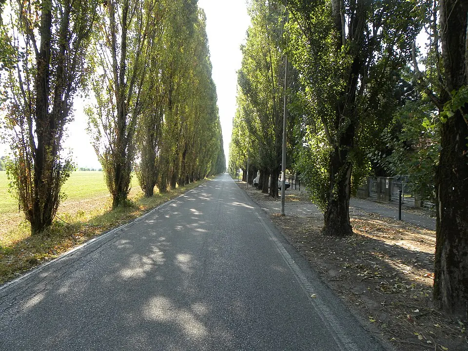Palidano