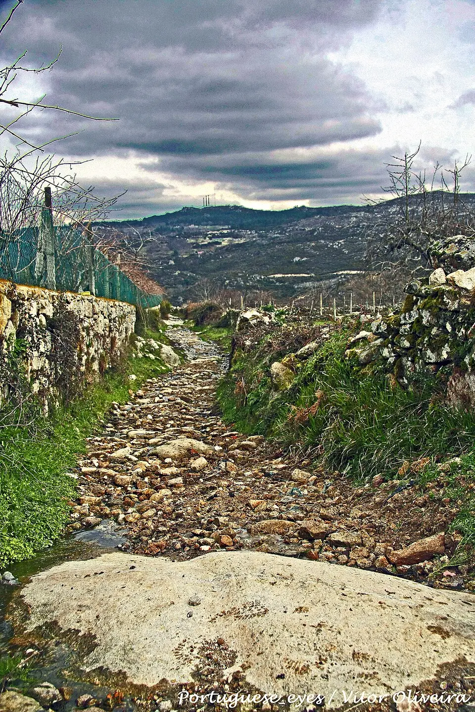 Vila Verde