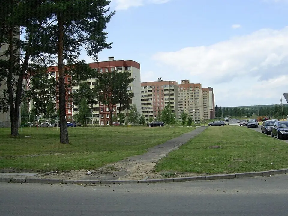 Вялікі Лес