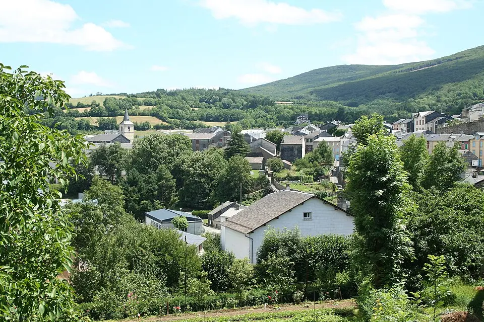 Viane