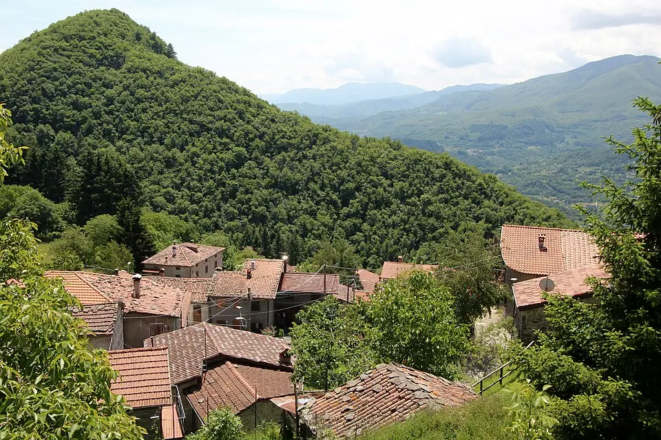 Vibbiana