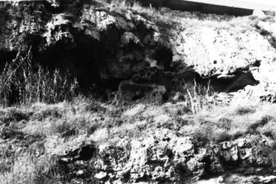 Balma del Pau Anton