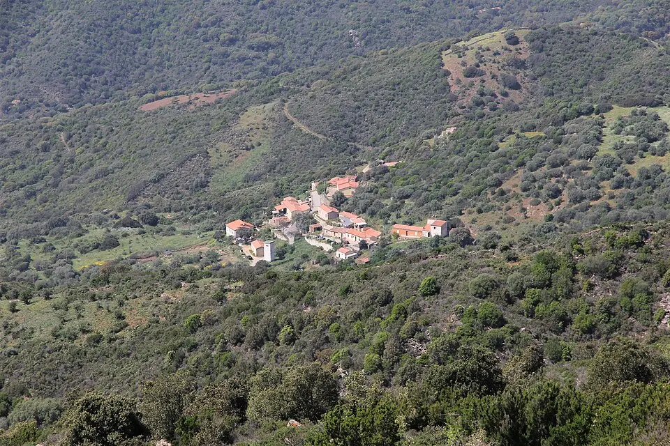 Tungoni